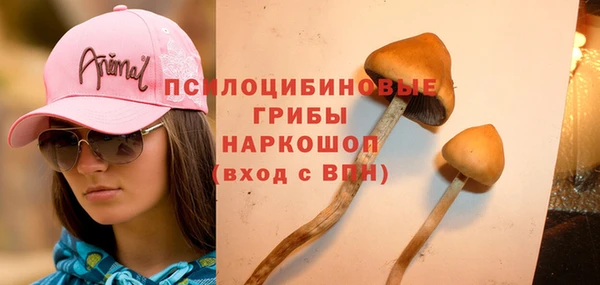 mdpv Новодвинск