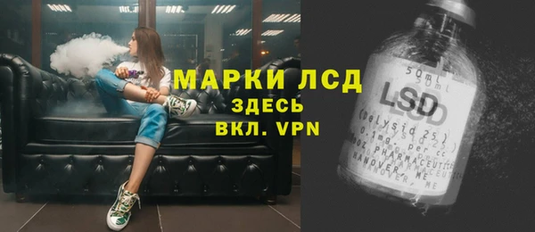 mdpv Новодвинск