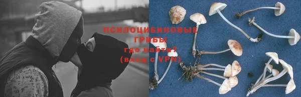 МДПВ Новозыбков