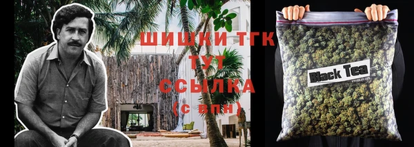mdpv Новодвинск