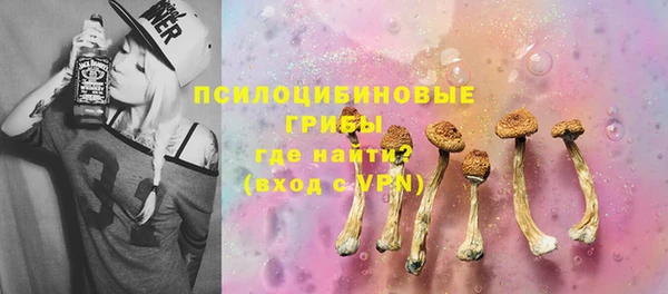 mdpv Новодвинск