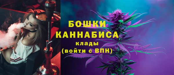 МДПВ Новозыбков