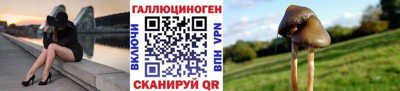 Псилоцибиновые грибы Cubensis  Углегорск 